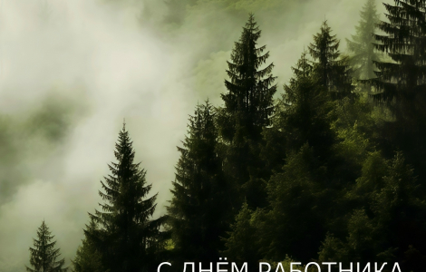 С Днём работника лесного хозяйства!
